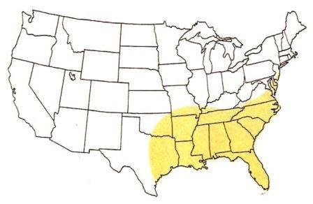 
Eastern poison oak territory in the U.S.
